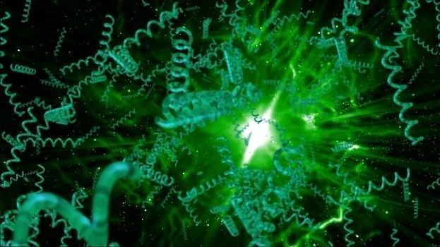 beneficios de la espirulina alga y sus propiedades