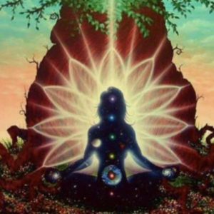 Anclaje de las nuevas energías y equilibrado de nuestros chakras