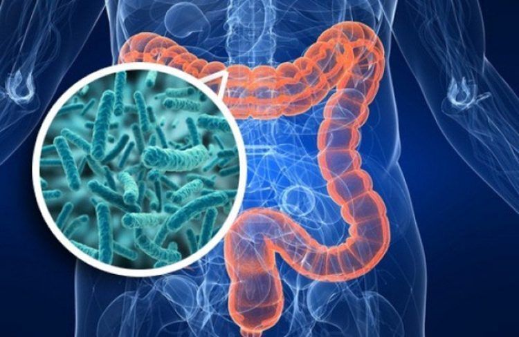 9 señales de alerta de que tienes parásitos intestinales - Lo que nadie te cuenta 1