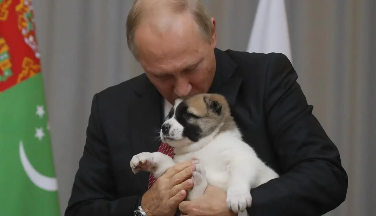 El presidente de Rusia firmó una ley que refuerza el castigo al maltrato animal 1